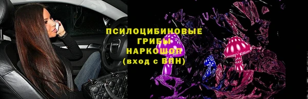 ПСИЛОЦИБИНОВЫЕ ГРИБЫ Алексин