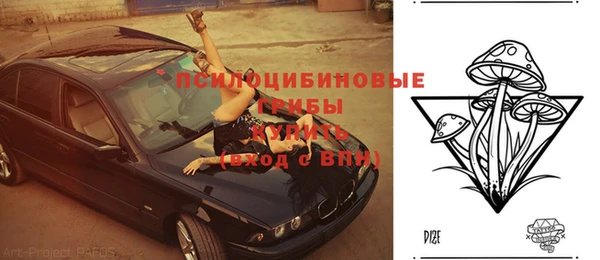 первитин Кодинск
