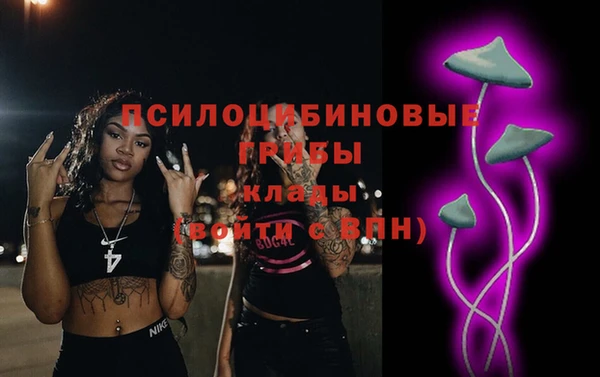 прущая мука Алзамай