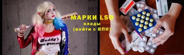 ПСИЛОЦИБИНОВЫЕ ГРИБЫ Алексин