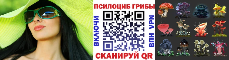 Псилоцибиновые грибы Magic Shrooms  Владимир 