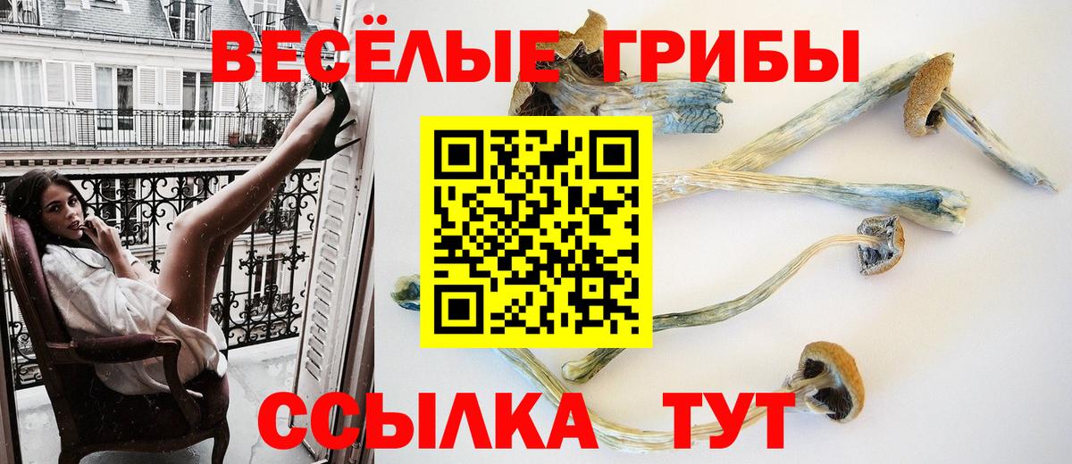 Галлюциногенные грибы мухоморы Владимир